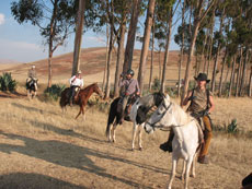 Au pays du Paso P&eacute;ruvien en randonn&eacute;e &eacute;questre au P&eacute;rou - Randocheval